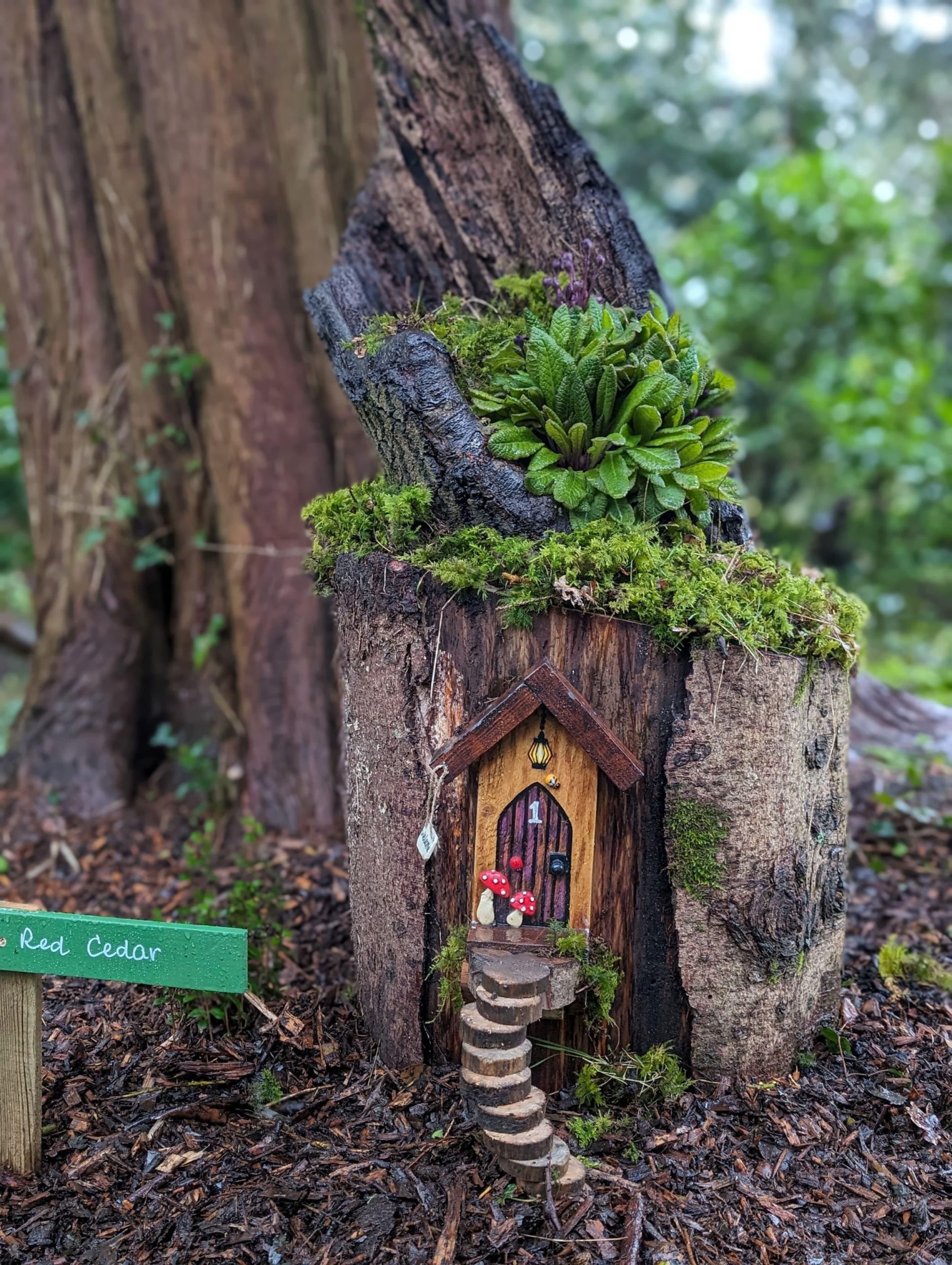 Fairy Door Trail 2024 - Picton Castle GardensPicton Castle Gardens