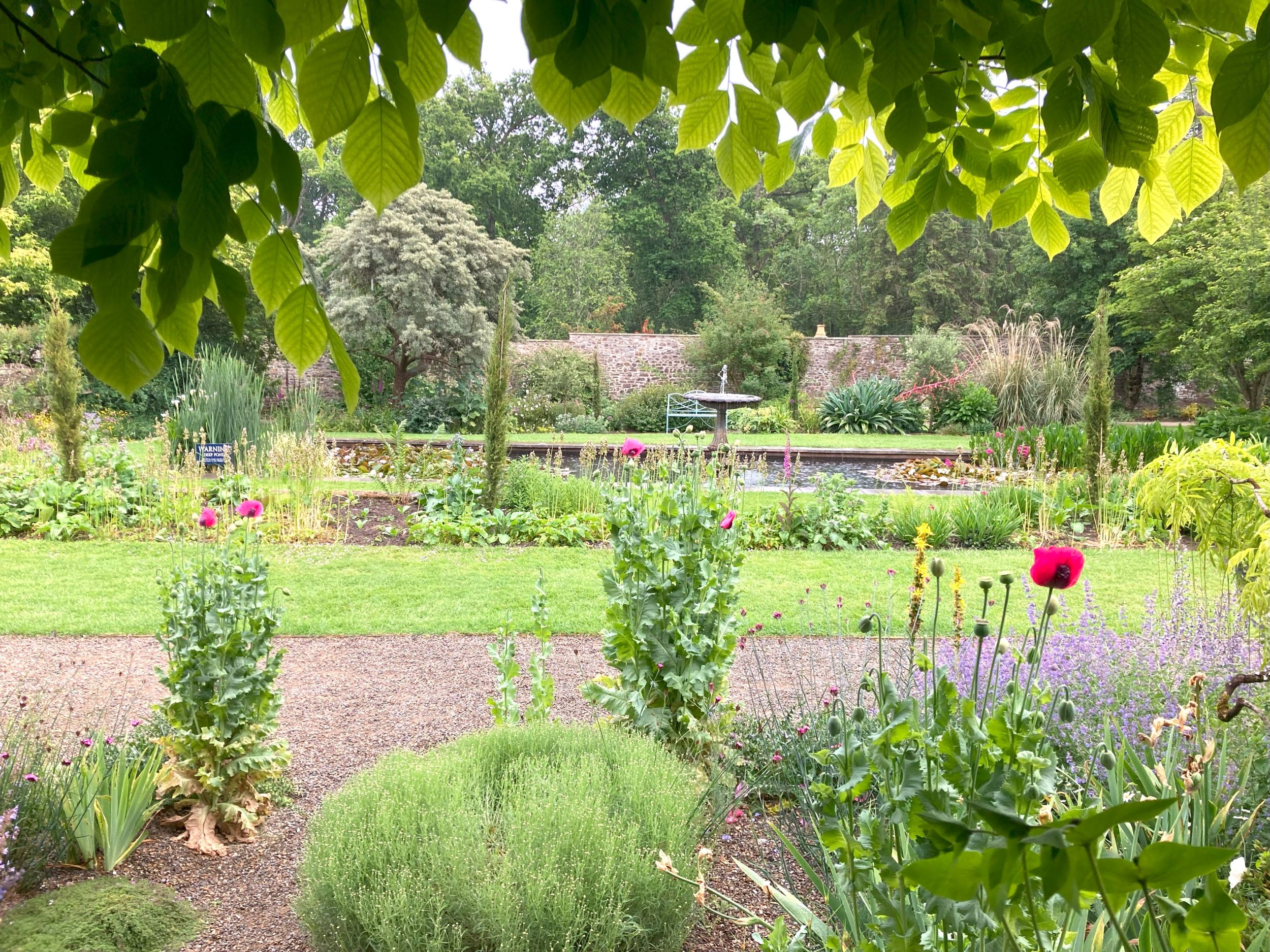 walled garden edited - Picton Castle GardensPicton Castle Gardens