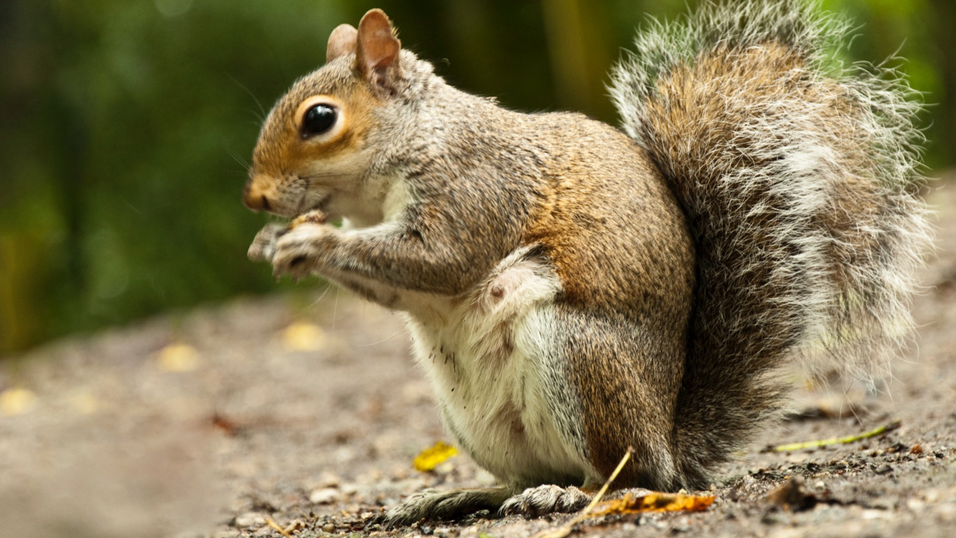 Placeholder Image