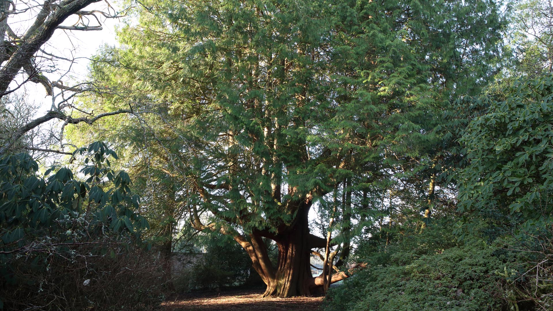 Featured image for “Winter Season Pricing – Half Price Admissions!”